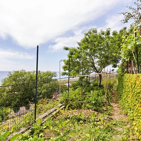 Holiday In Torremezzo Di Falconara Near Beach Falconara Albanese
